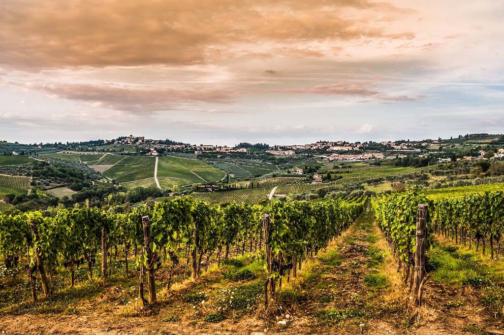 Brunello di Montalcino Wine Tour for small groups from Siena | viviTravels