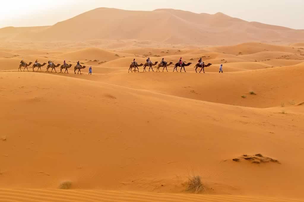 Morocco tour along the route of the dunes | viviTravels