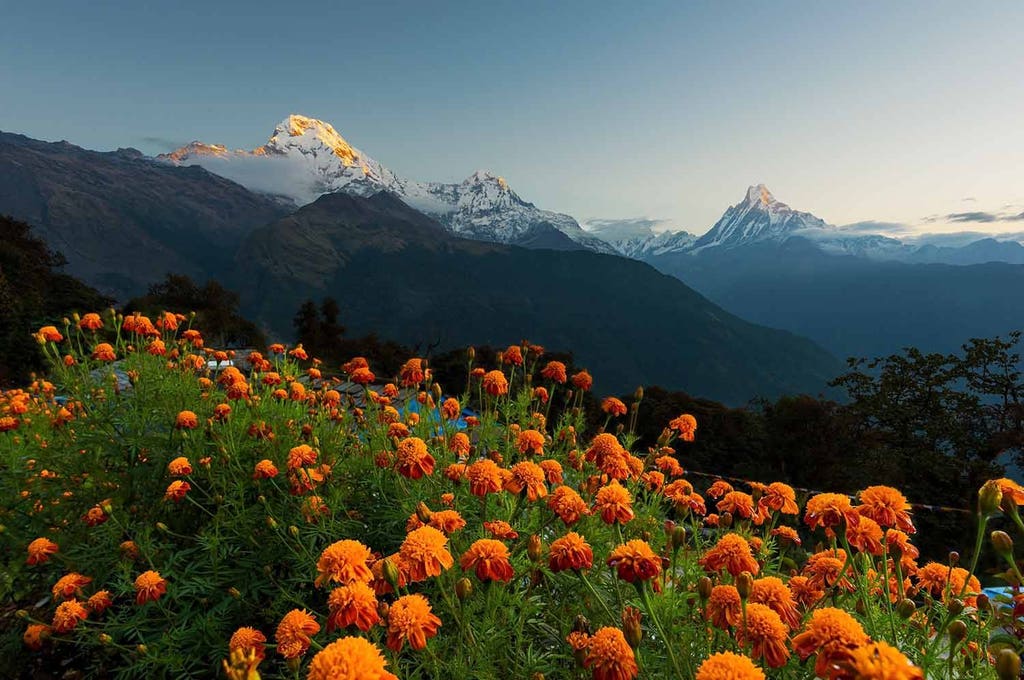Nepal tour with Annapurna base trek | viviTravels