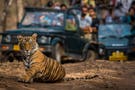 Ranthambore National Park