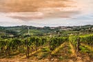 Brunello di Montalcino Wine Tour for small groups from Siena