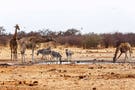 Etosha