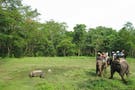 Chitwan National Park