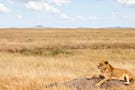 Serengeti National Park