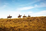 Horse riding tours and holidays