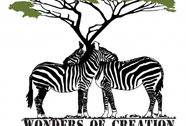 Wonders of Creation Tours & Safaris