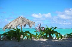 Anegada