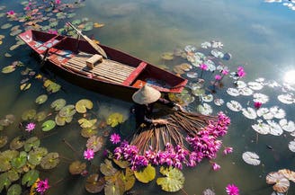 VIAGGIO HANOI - STAGIONE DI FIORE DI LOTO