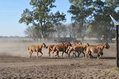 estancia-santa-susana-1