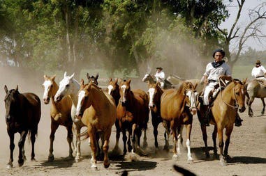 estancia-santa-susana-2