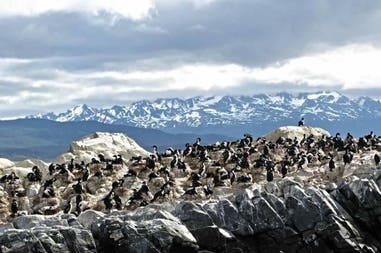 Ushuaia in Argentina