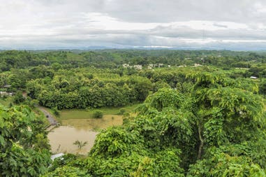 Bangladesh green landscape