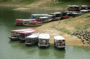 Bangladesh Sundeban forest boats