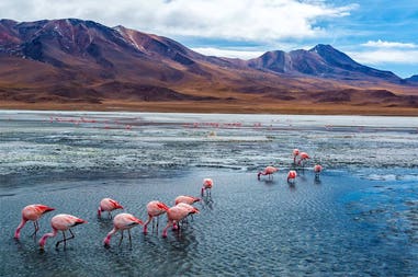 Bolivia Lake Hedionda