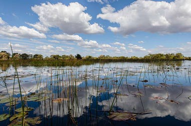 Botswana Okavango delta