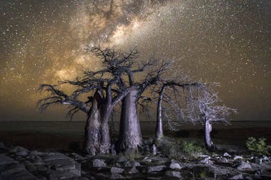 Botswana Kubu island