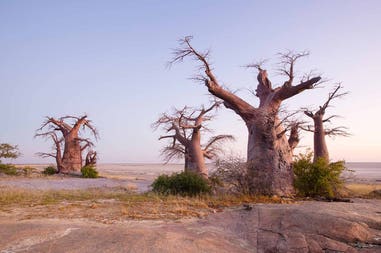Botswana Kubu island