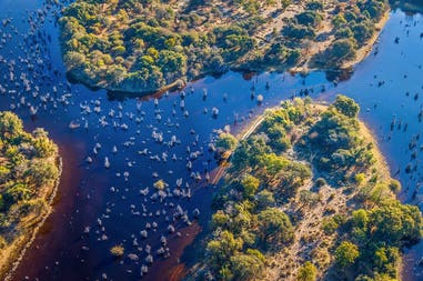 Botswana Okavango Delta