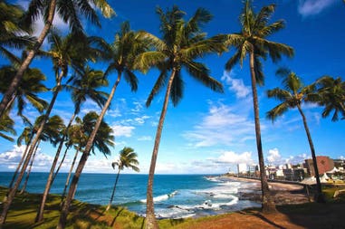 brazil-barra-beach-in-the-beautiful-city-of-salvador-in-bahia-copia