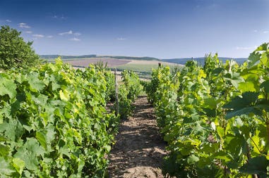 shutterstock-389804422