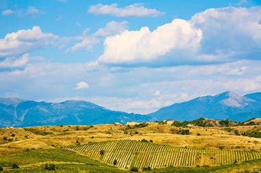 shutterstock-61234492