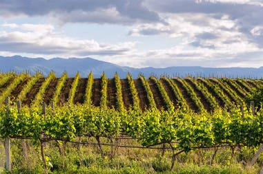 shutterstock-654879307