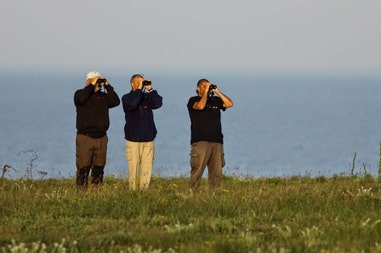 birdwatching-tour-in-bulgaria-2