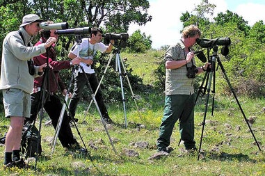 birdwatching-tour-in-bulgaria-3