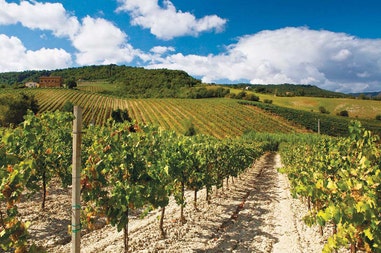 itinerario-del-vino-in-bulgaria-1