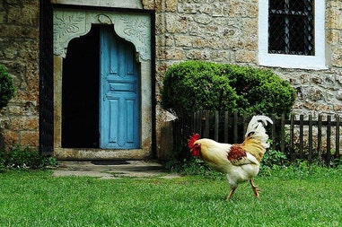 Tour nel centro della Bulgaria 