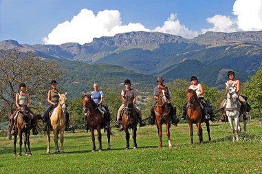 Horses in Bulgaria