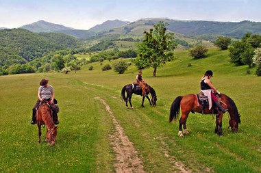 Horses in Bulgaria