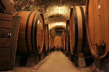 Wine Estate in Bulgaria