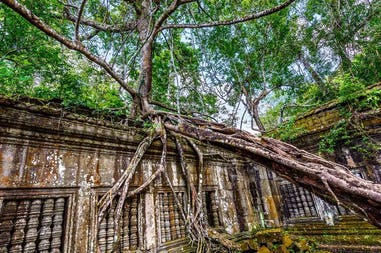 Cambodia temple