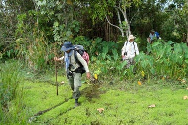 Trekking tour in Cambodia