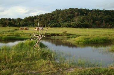 Trekking tour in Cambodia