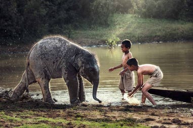 Cambodia kids with elephant