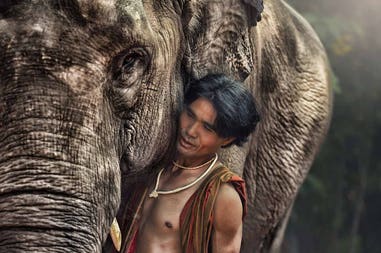 Cambodia elephant and mahout