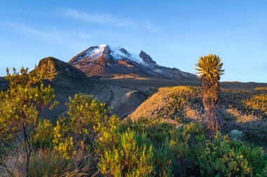Colombia Los Nevados National Park
