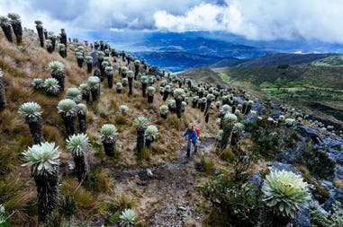 Colombia Los Nevados traverse