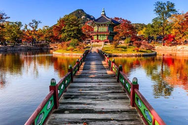south-korea-gyeongbokgung-palace-autumn