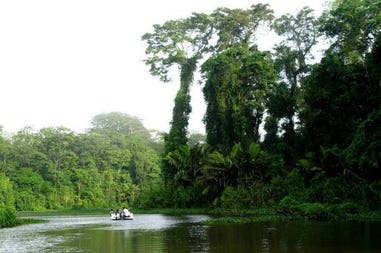 Costa Rica Tortuguero National Park