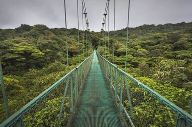 Costa Rica hanging bridge