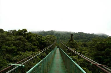 Hanging Bridge in Monte Verde in Costa Rica