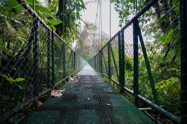 bosco-nuvoloso-16x12-copia