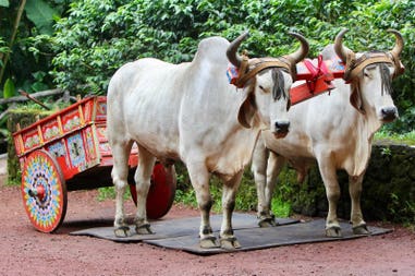 hereria-costa-rica-16x12