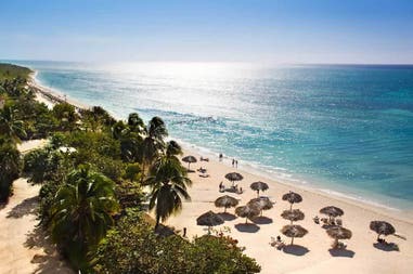 Palms on the beach in Cuba