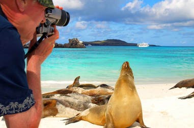 Galapagos leoni marini