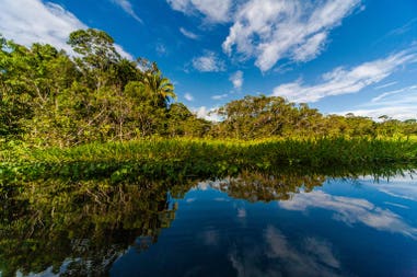 ecuador-yasuni-national-park