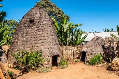 Ethiopia huts